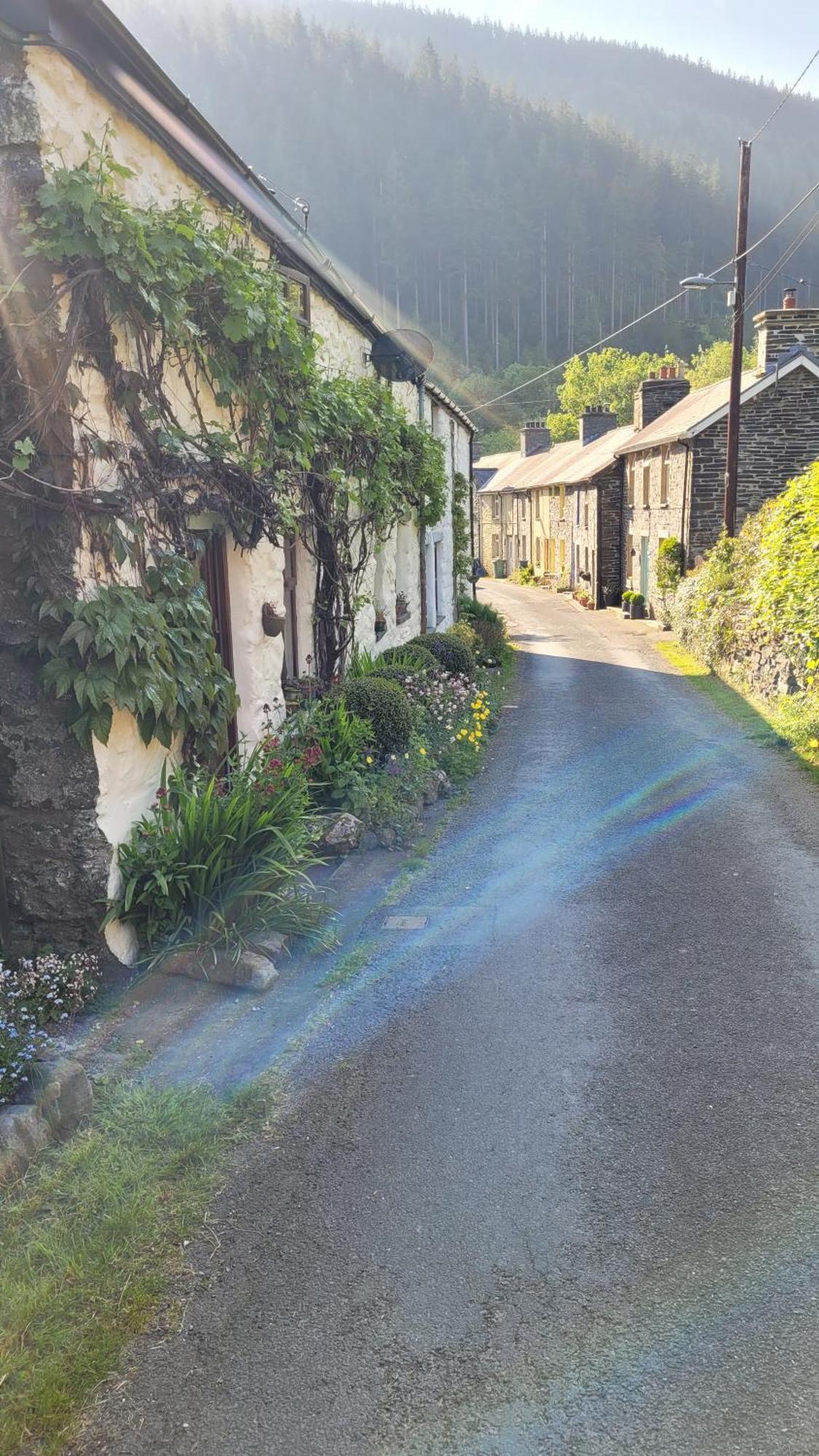 The Granary Corris On The Edge Of The Dyfi Forest Exterior photo
